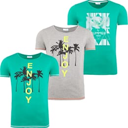 Summerfresh t-shirt , een pak van 3 , heren, S