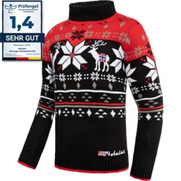 Pullover norvegese STAG Uomo