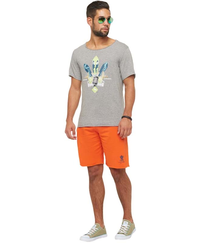Summerfresh T-Shirt ENZO Mænd grau