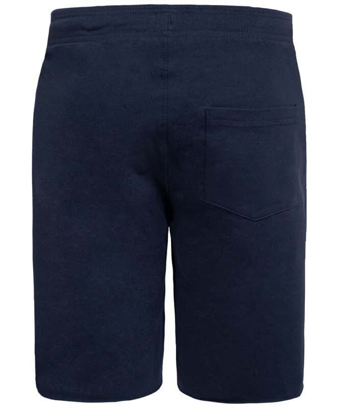 Summerfresh Pantalones cortos BEN Hombres ink