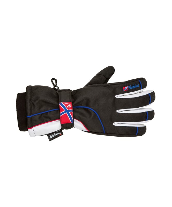 Ski Gloves SPIKE Men schwarz