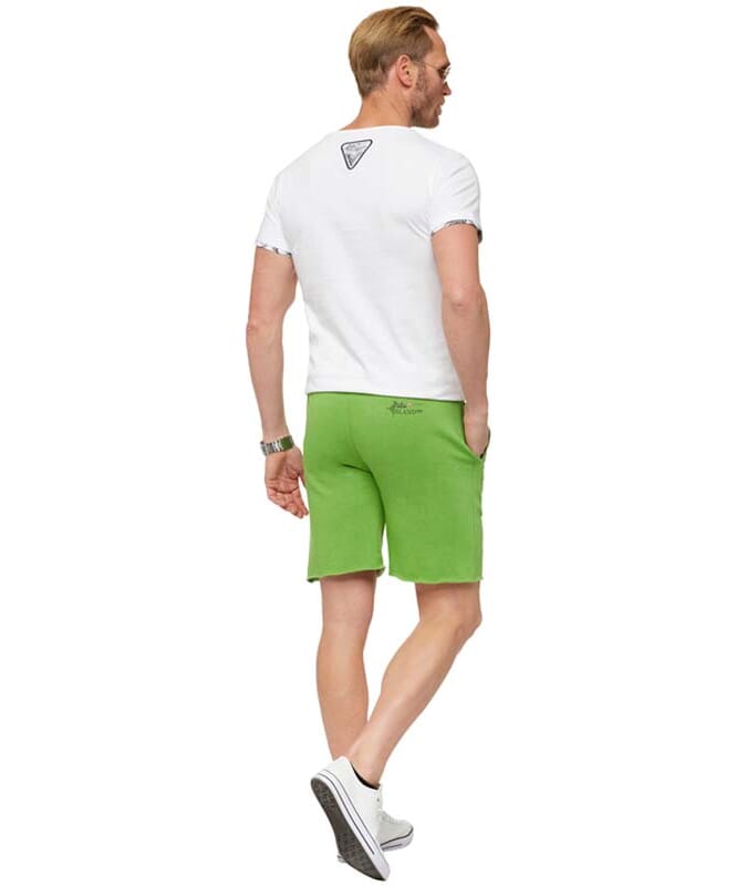 Shorts BARACUDA Men grün