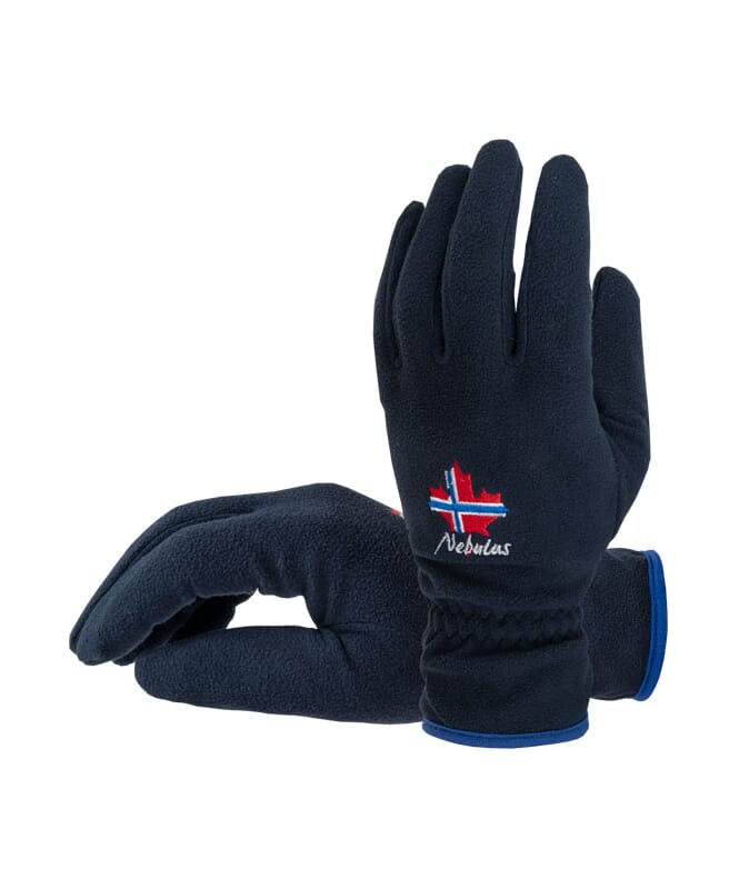 Fleece gloves WARMY Men navy
